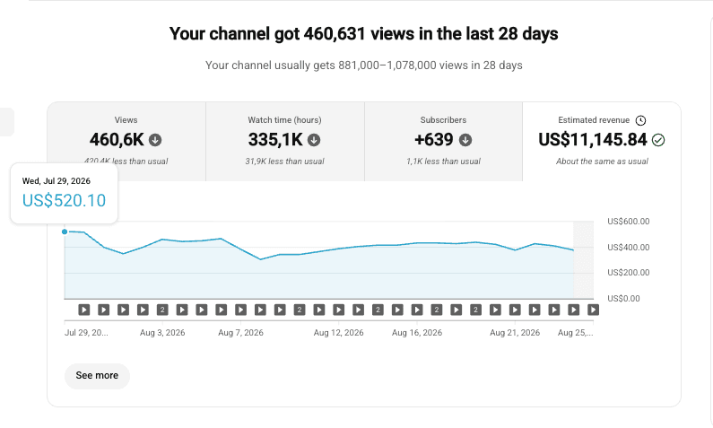 $24+ High RPM Niche: $11,145 on 460K Views